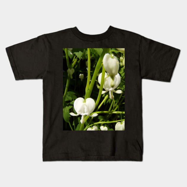 white bleeding heart macro Kids T-Shirt by DlmtleArt